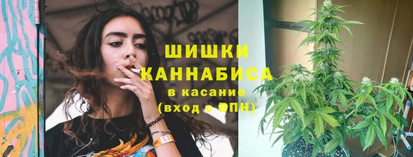 гидропоника Мегион