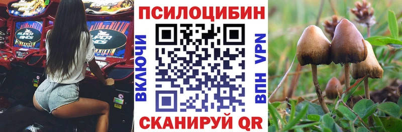 Галлюциногенные грибы ЛСД  наркотики  Ялуторовск 